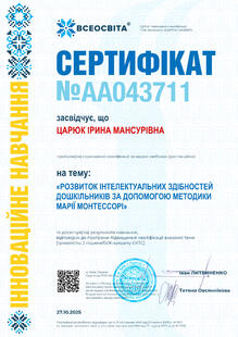 №AA043711