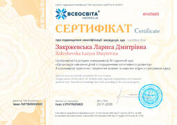 Сторона №1