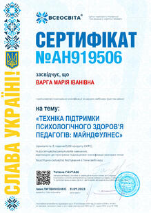 №AH919506
