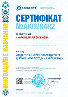№AK028482