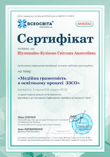 №AK460562