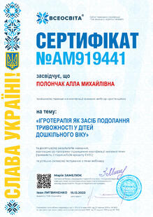№AM919441