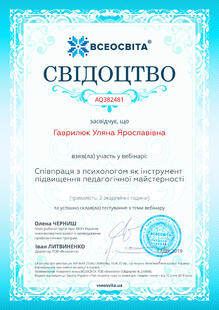 №AQ382481