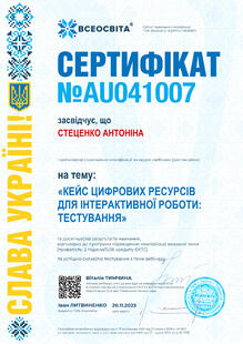 №AU041007