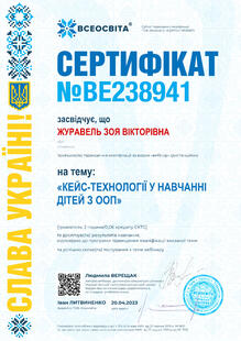 №BE238941