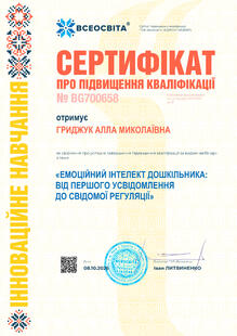 №BG700658