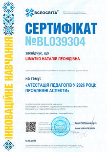 №BL039304