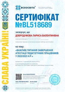 №BL518689