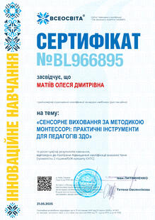 №BL966895