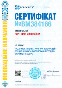 №BM384166