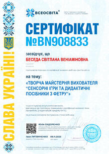 №BN908833