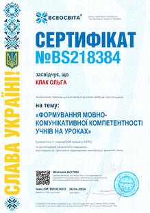 №BS218384