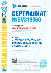 №BV319060