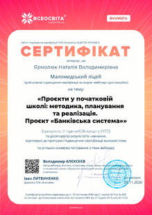 №BV496014
