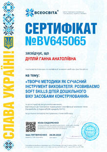 №BV645065