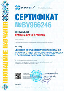 №BV966246