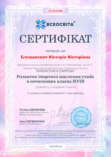 №CC302096