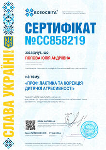 №CC858219
