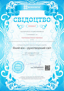 №CD022247