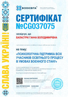 №CG037075