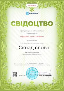 №CG541406