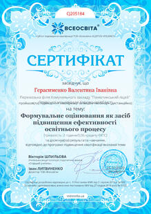 №CJ205184