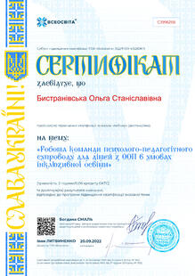 №CJ996258