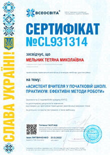 №CL931314
