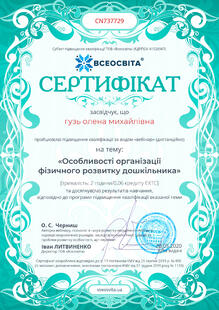 №CN737729