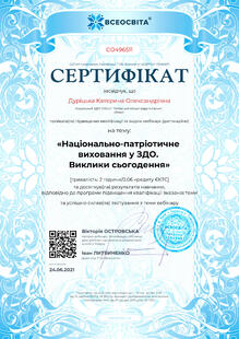 №CO496511