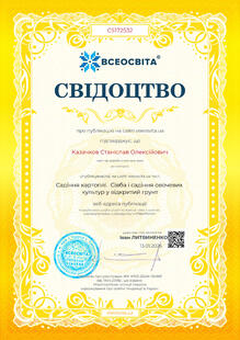 №CS172532
