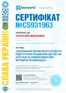 №CS931963