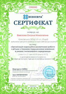 №CS960345