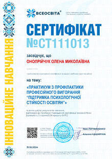 №CT111013