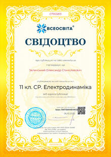 №CT955813