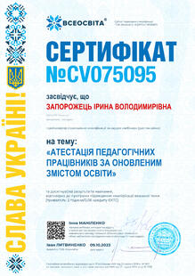 №CV075095