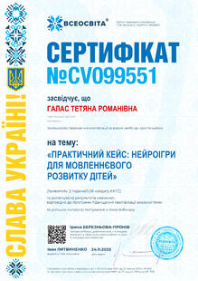 №CV099551