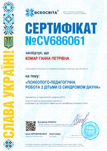 №CV686061