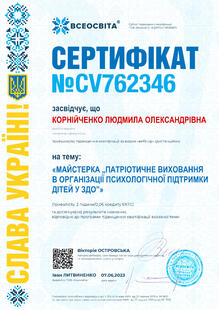 №CV762346