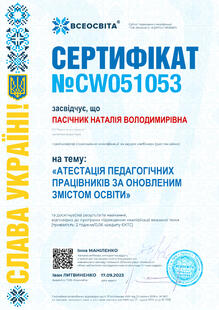 №CW051053