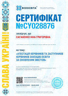 №CY028876