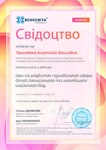 №DA255484