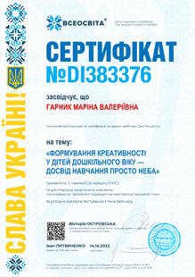 №DI383376