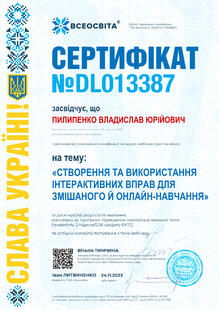 №DL013387