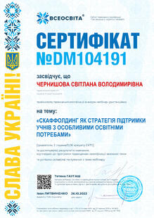 №DM104191