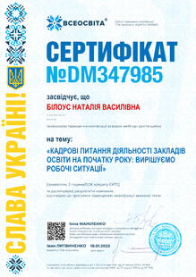 №DM347985