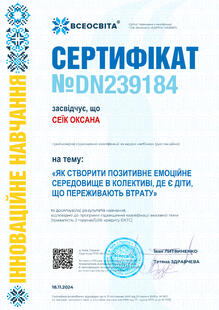 №DN239184