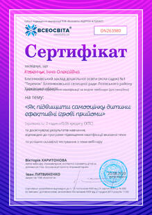 №DN263980