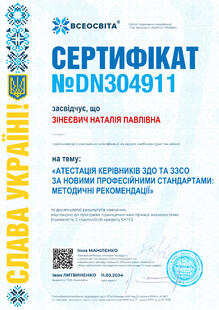 №DN304911