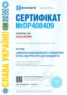 №DP408409